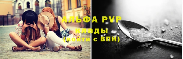 эйфоретик Ельня
