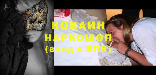 эйфоретик Ельня