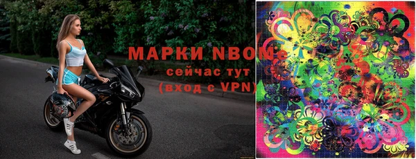 эйфоретик Ельня