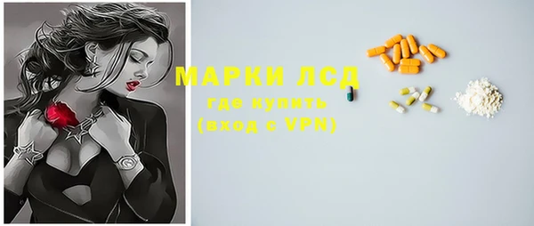 эйфоретик Ельня
