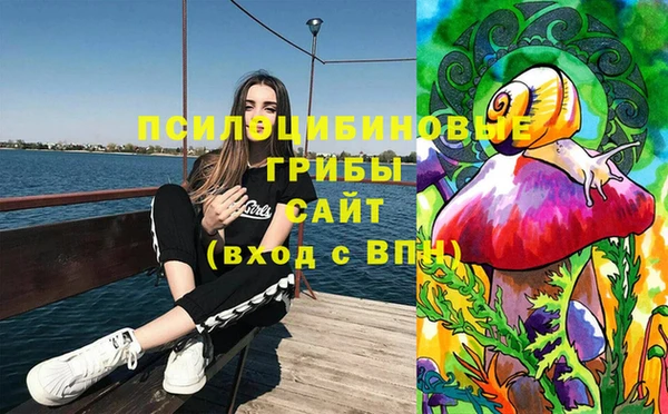 эйфоретик Ельня