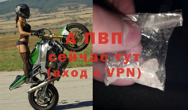 эйфоретик Ельня