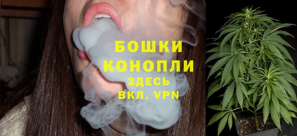 эйфоретик Ельня