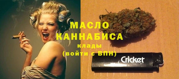 эйфоретик Ельня
