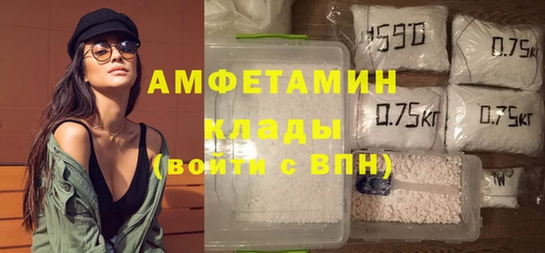 эйфоретик Ельня