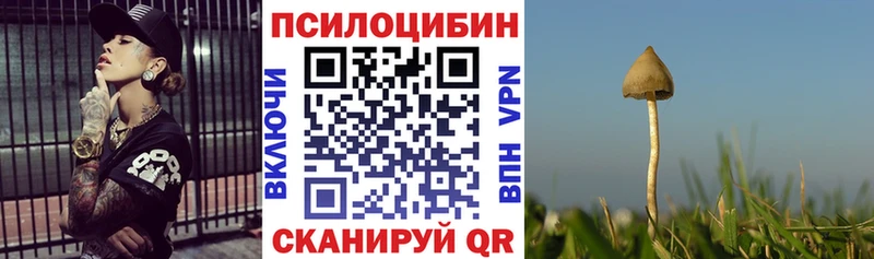 Купить закладки  Нариманов  Псилоцибиновые грибы прущие грибы 