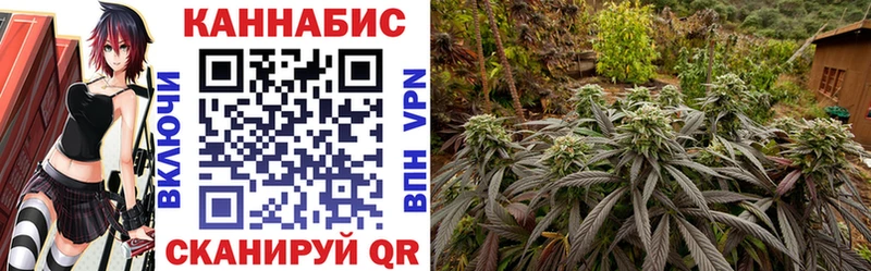 Канабис индика  Купить закладки  Нариманов 